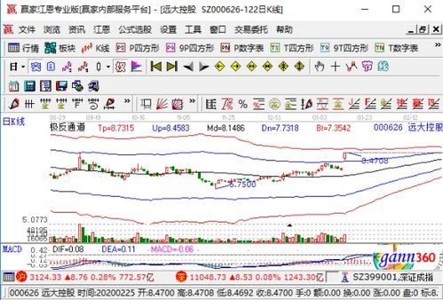 遠(yuǎn)達(dá)控股強(qiáng)勢(shì)漲停，業(yè)績(jī)大幅預(yù)增與國(guó)內(nèi)貿(mào)易代理業(yè)務(wù)成關(guān)鍵驅(qū)動(dòng)力